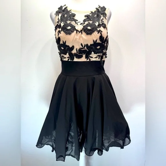 Black & Nude Dress Frilled Cocktail Party ModCloth Whimsigoth Chi Chi London 8 - Picture 3 of 16